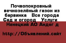 Почвопокровный, вечнозелёный газон из барвинка - Все города Сад и огород » Услуги   . Ненецкий АО,Андег д.